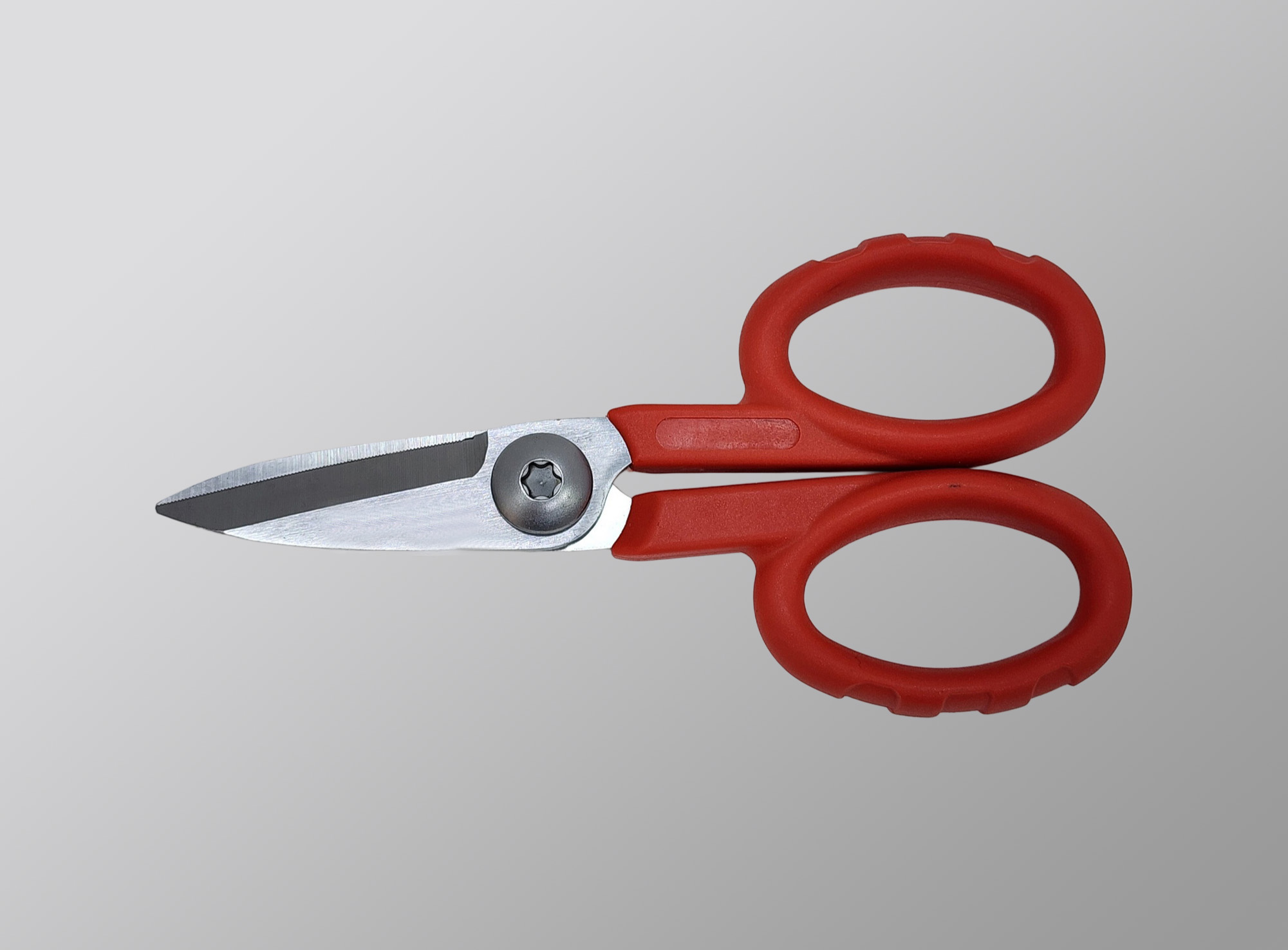 Precision shears